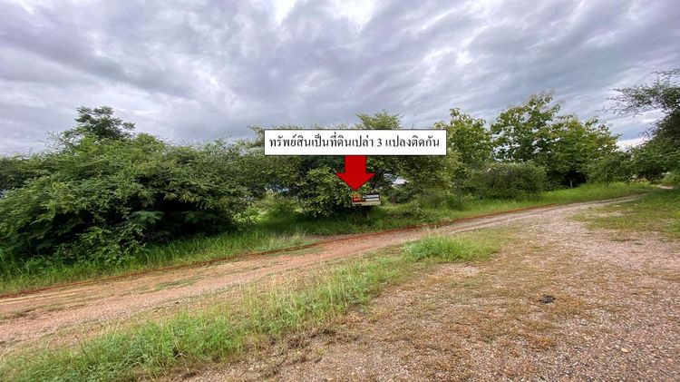 ใช่ 💖 ที่ดิน เมืองลำพูน ราคาพิเศษ! 💖 รูปที่ 3