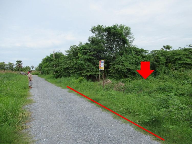 ใช่ 💖 ที่ดิน นครชัยศรี ราคาพิเศษ! 💖 รูปที่ 3