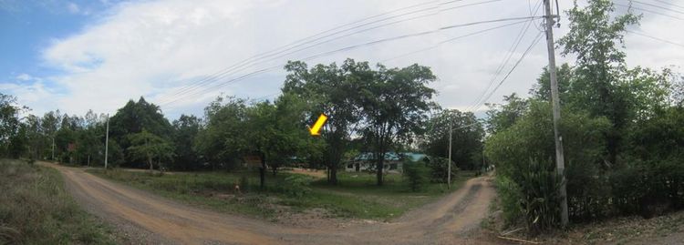 ใช่ 💖 ที่ดิน เมืองนครราชสีมา ราคาพิเศษ! 💖 รูปที่ 3