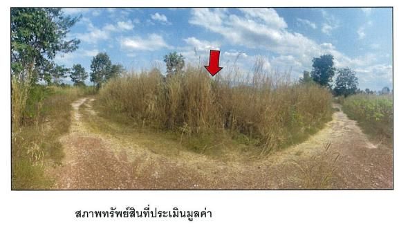 ใช่ 💖 ที่ดิน วังทอง ราคาพิเศษ! 💖 รูปที่ 2