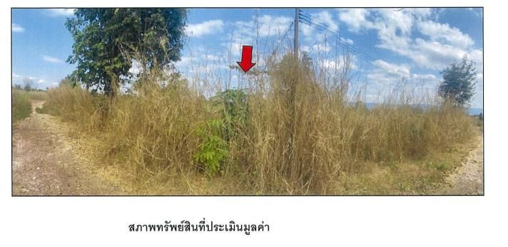 💖 ที่ดิน วังทอง ราคาพิเศษ! 💖