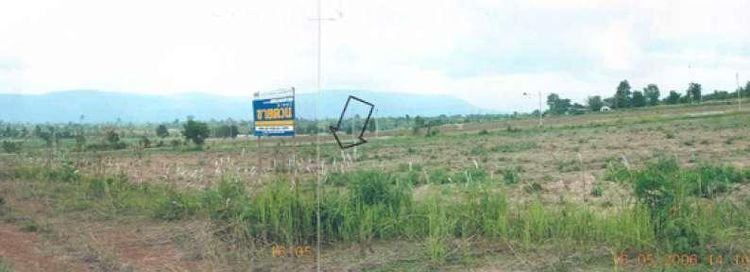 💖 ที่ดิน วังทอง ราคาพิเศษ! 💖