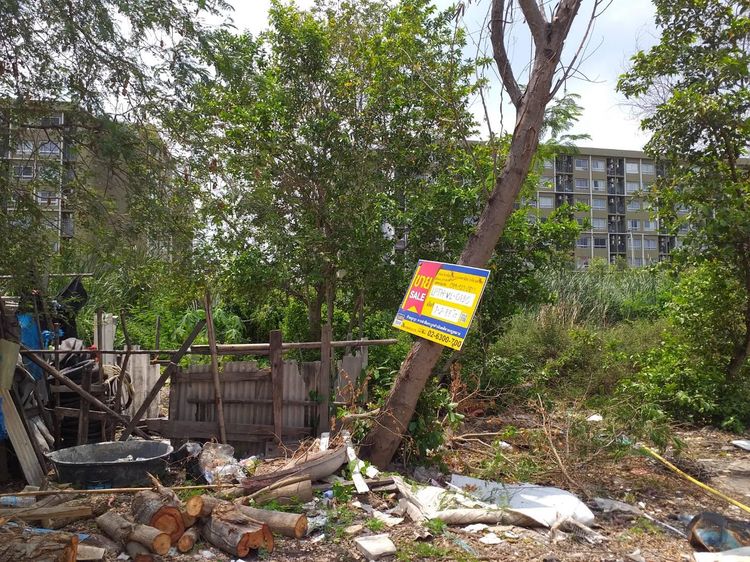 ใช่ 💖 ที่ดิน คลองหลวง ราคาพิเศษ! 💖 รูปที่ 2