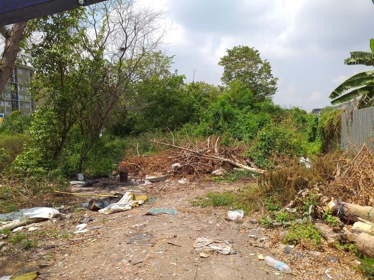 ใช่ 💖 ที่ดิน คลองหลวง ราคาพิเศษ! 💖 รูปที่ 3