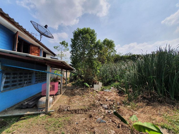 ใช่ 💖 ที่ดิน เมืองปทุมธานี ราคาพิเศษ! 💖 รูปที่ 4