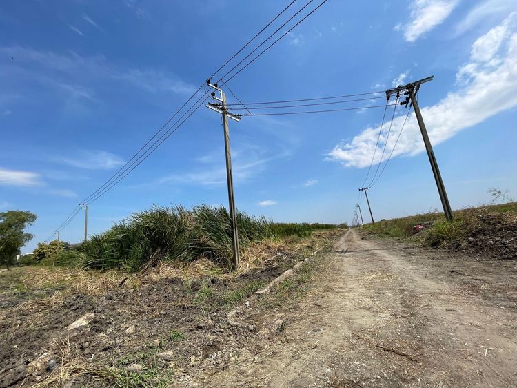 ใช่ 💖 ที่ดิน บางบ่อ ราคาพิเศษ! 💖 รูปที่ 3