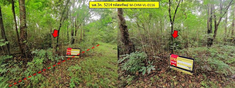 ใช่ 💖 ที่ดิน จอมทอง ราคาพิเศษ! 💖