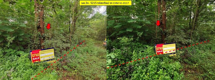 ใช่ 💖 ที่ดิน จอมทอง ราคาพิเศษ! 💖