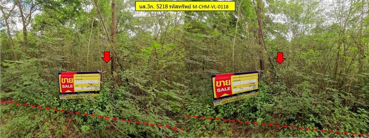 ใช่ 💖 ที่ดิน จอมทอง ราคาพิเศษ! 💖