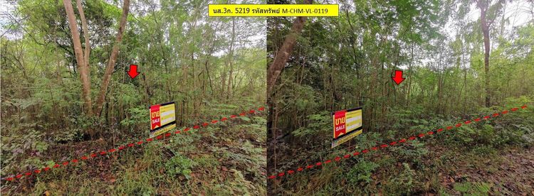 ใช่ 💖 ที่ดิน จอมทอง ราคาพิเศษ! 💖