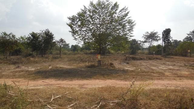 💖 ที่ดิน เขาสวนกวาง ราคาพิเศษ! 💖