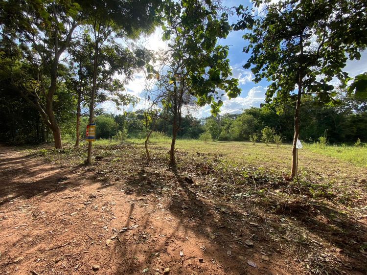 ใช่ 💖 ที่ดิน เขาสวนกวาง ราคาพิเศษ! 💖