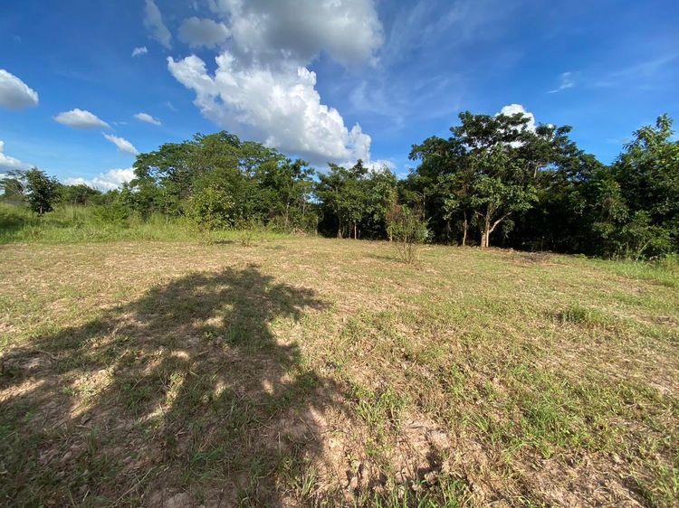 ใช่ 💖 ที่ดิน เขาสวนกวาง ราคาพิเศษ! 💖 รูปที่ 3