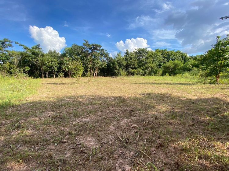 ใช่ 💖 ที่ดิน เขาสวนกวาง ราคาพิเศษ! 💖 รูปที่ 4