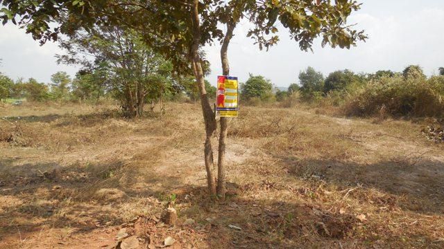 ใช่ 💖 ที่ดิน เขาสวนกวาง ราคาพิเศษ! 💖