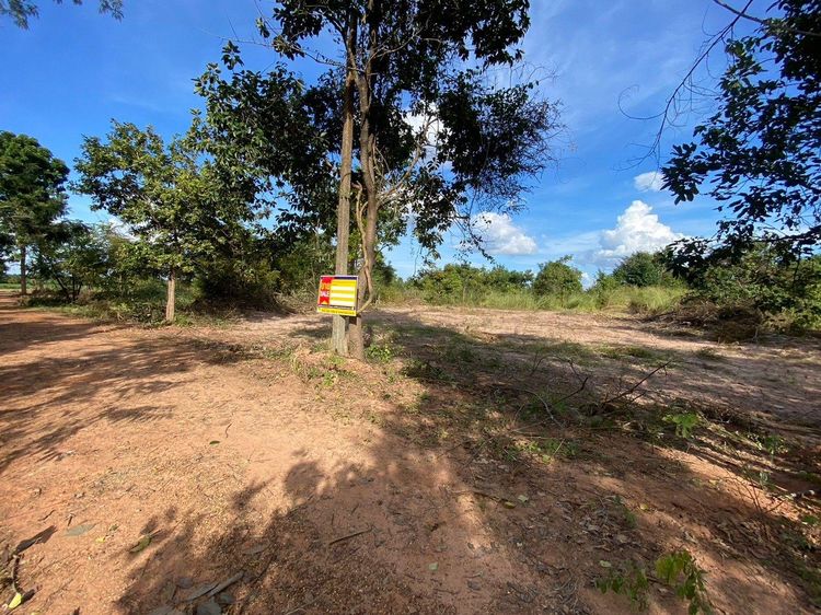 ใช่ 💖 ที่ดิน เขาสวนกวาง ราคาพิเศษ! 💖 รูปที่ 3