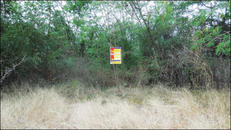 💖 ที่ดิน น้ำพอง ราคาพิเศษ! 💖