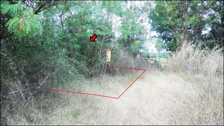 āđāļāđ ð āļāļĩāđāļāļīāļ āļāđāļģāļāļāļ āļĢāļēāļāļēāļāļīāđāļĻāļĐ! ð āļĢāļđāļāļāļĩāđ 2