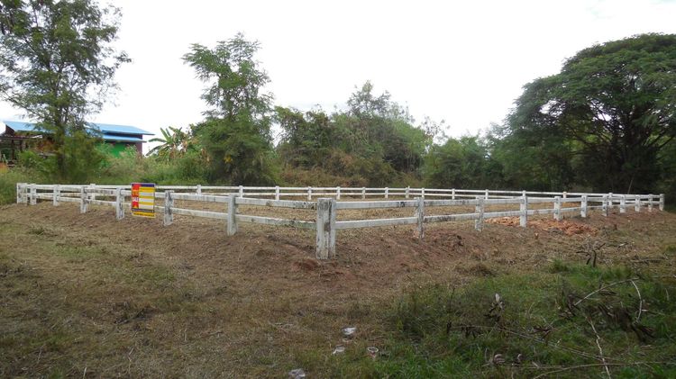 💖 ที่ดิน เขาสวนกวาง ราคาพิเศษ! 💖