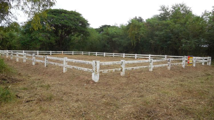 ใช่ 💖 ที่ดิน เขาสวนกวาง ราคาพิเศษ! 💖 รูปที่ 4