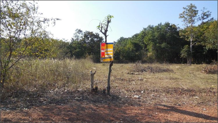 ใช่ 💖 ที่ดิน เขาสวนกวาง ราคาพิเศษ! 💖