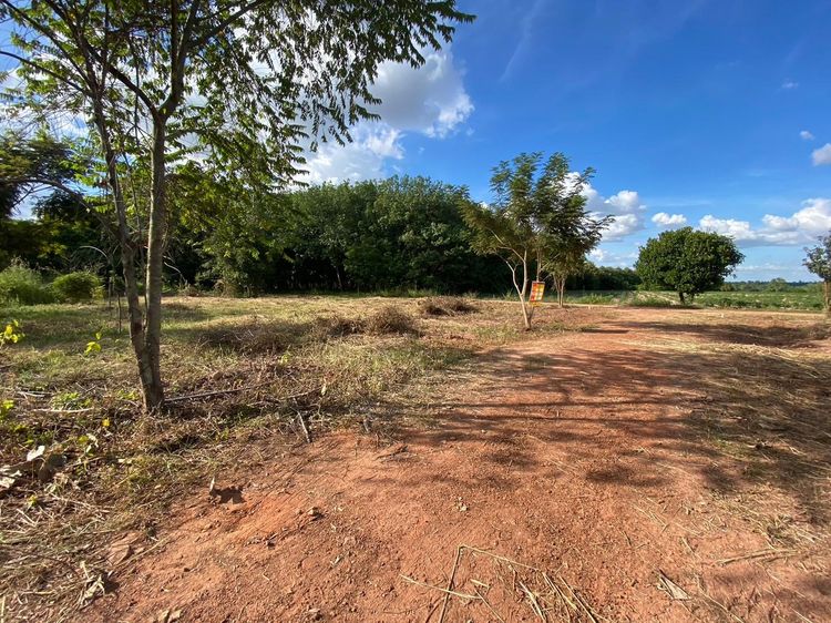 ใช่ 💖 ที่ดิน เขาสวนกวาง ราคาพิเศษ! 💖 รูปที่ 2