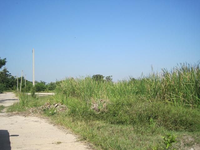 ใช่ 💖 ที่ดิน ดอนตูม ราคาพิเศษ! 💖 รูปที่ 2