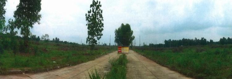 💖 ที่ดิน ปักธงชัย ราคาพิเศษ! 💖