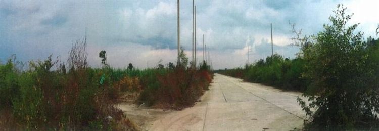 ใช่ 💖 ที่ดิน ปักธงชัย ราคาพิเศษ! 💖 รูปที่ 4