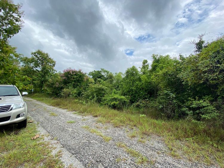 ใช่ 💖 ที่ดิน เมืองลำพูน ราคาพิเศษ! 💖 รูปที่ 4