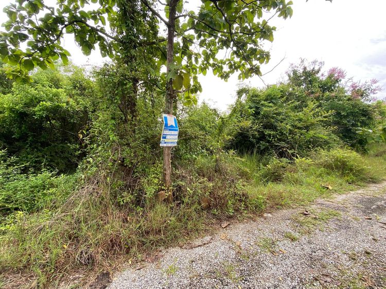 ใช่ 💖 ที่ดิน เมืองลำพูน ราคาพิเศษ! 💖 รูปที่ 2