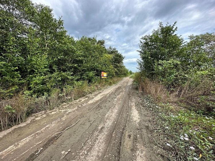 ใช่ 💖 ที่ดิน องครักษ์ ราคาพิเศษ! 💖 รูปที่ 2