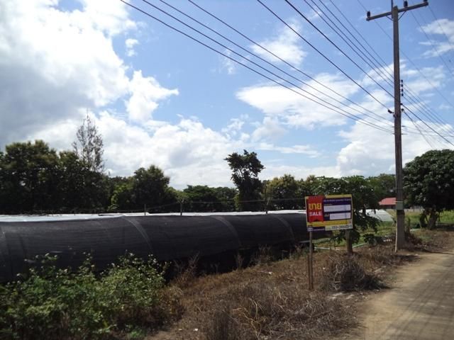 💖 ที่ดิน แม่ริม ราคาพิเศษ! 💖