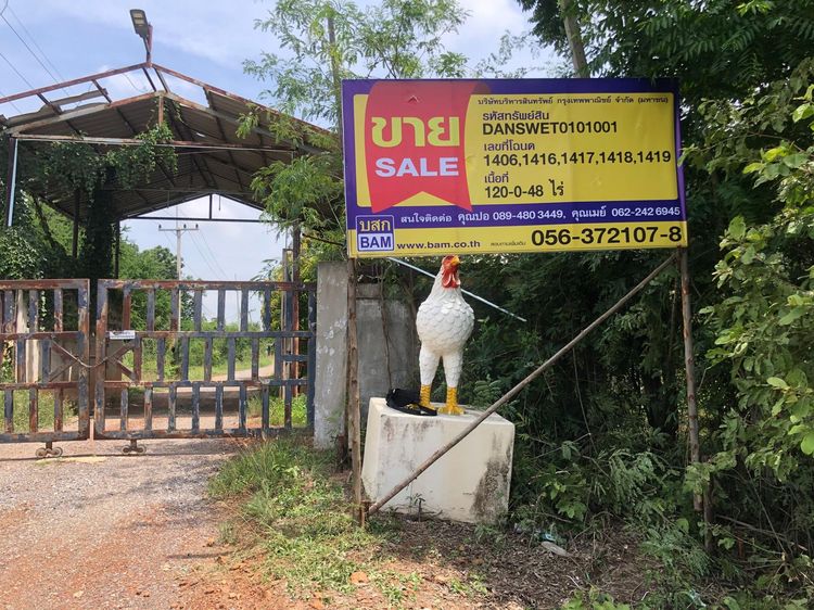 💖 ที่ดิน ชุมแสง ราคาพิเศษ! 💖