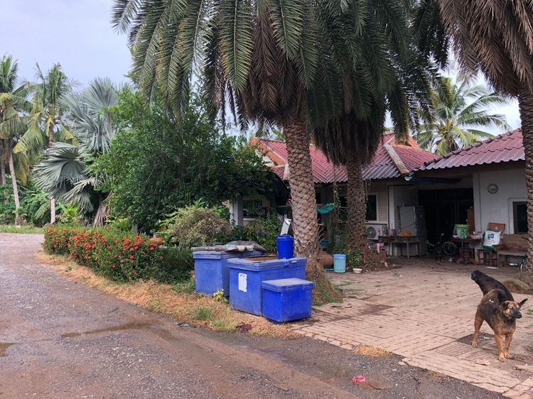 āđāļāđ ð āļāļĩāđāļāļīāļ āļāļļāļĄāđāļŠāļ āļĢāļēāļāļēāļāļīāđāļĻāļĐ! ð āļĢāļđāļāļāļĩāđ 2