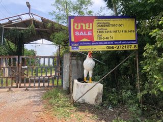 💖 ที่ดิน ชุมแสง ราคาพิเศษ! 💖