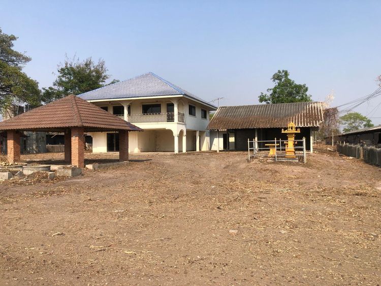 ใช่ 💖 ที่ดิน หนองบัว ราคาพิเศษ! 💖 รูปที่ 3