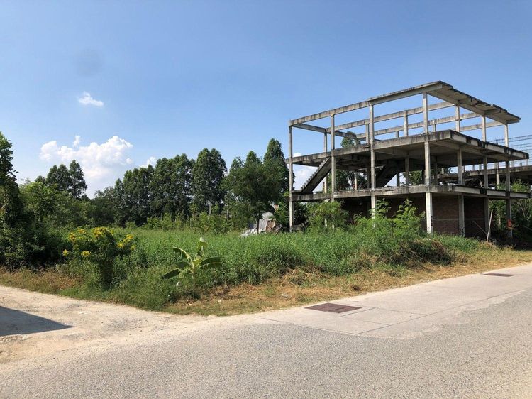 ใช่ 💖 ที่ดิน พานทอง ราคาพิเศษ! 💖 รูปที่ 2