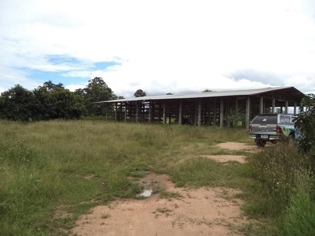 💖 ที่ดิน ไชยปราการ ราคาพิเศษ! 💖 รูปที่ 4