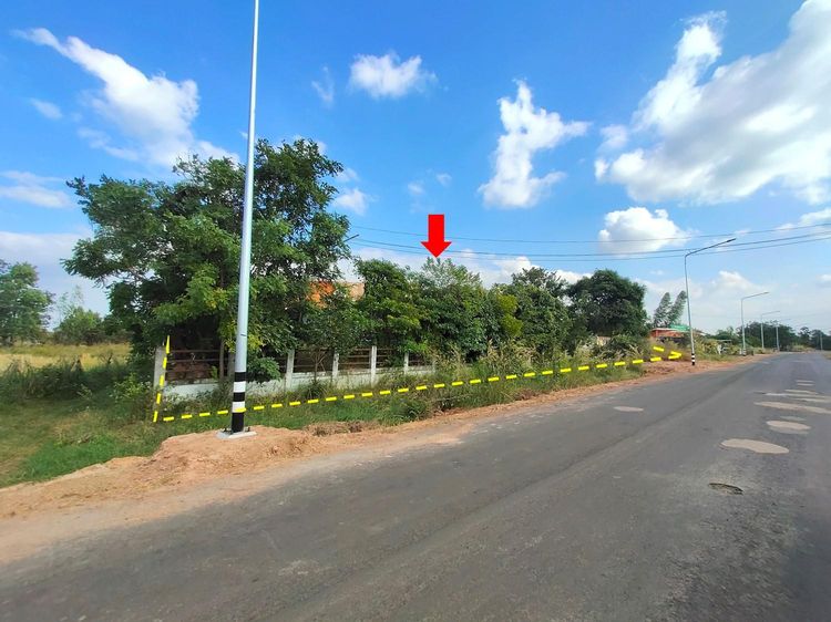 ใช่ 💖 ที่ดิน เมืองอำนาจเจริญ ราคาพิเศษ! 💖 รูปที่ 2