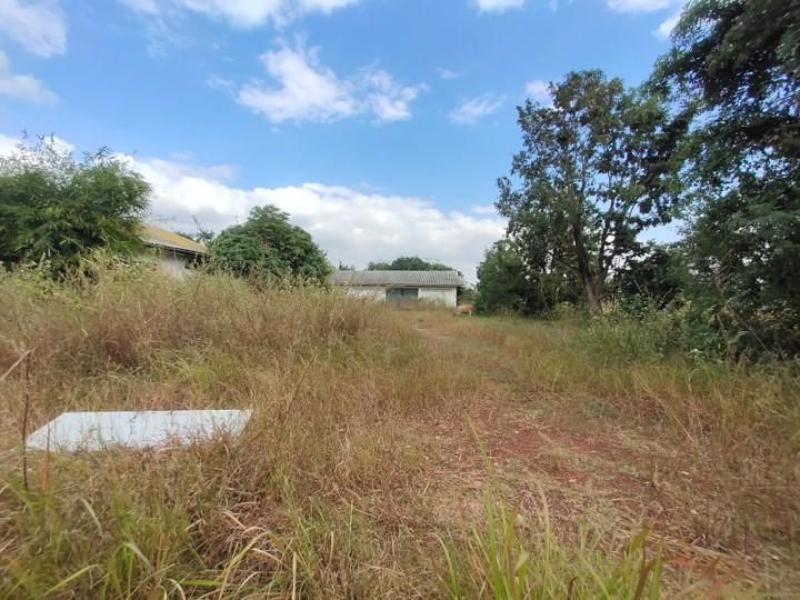 ใช่ 💖 ที่ดิน เมืองอำนาจเจริญ ราคาพิเศษ! 💖 รูปที่ 4
