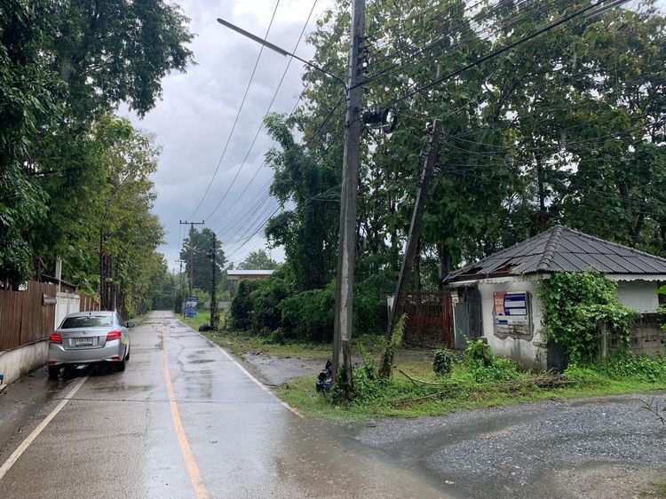 ใช่ 💖 บ้าน สันกำแพง ราคาพิเศษ! 💖 รูปที่ 2