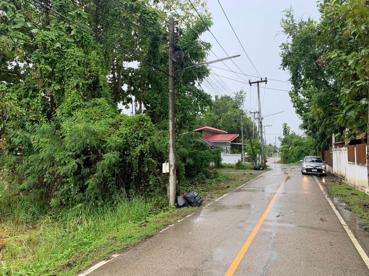 ใช่ 💖 บ้าน สันกำแพง ราคาพิเศษ! 💖 รูปที่ 4