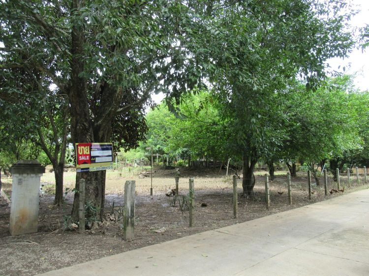 ใช่ 💖 บ้าน แม่แตง ราคาพิเศษ! 💖 รูปที่ 2