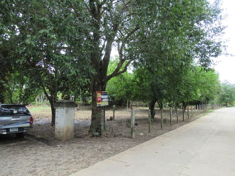 💖 บ้าน แม่แตง ราคาพิเศษ! 💖