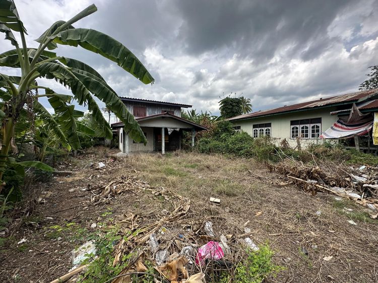 ใช่ 💖 บ้าน ท่าหลวง ราคาพิเศษ! 💖 รูปที่ 3