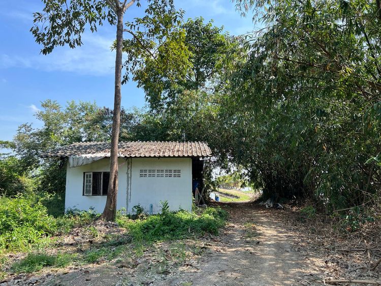 ใช่ 💖 บ้าน หนองเสือ ราคาพิเศษ! 💖 รูปที่ 3