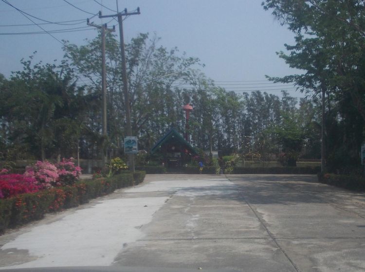 ใช่ 💖 บ้าน แปลงยาว ราคาพิเศษ! 💖 รูปที่ 3