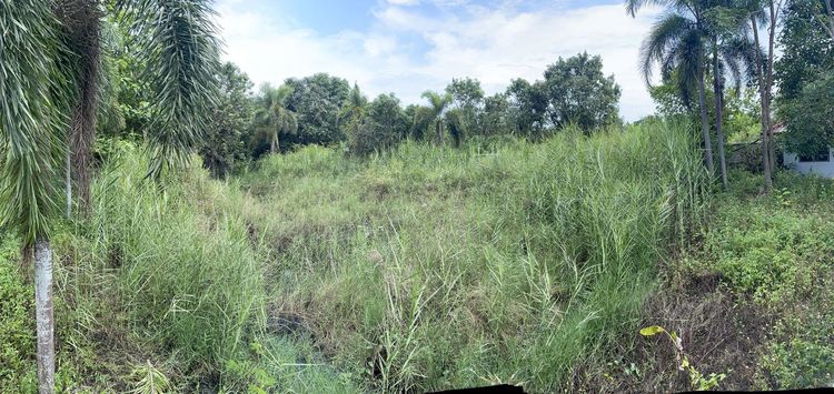 ใช่ 💖 บ้าน หางดง ราคาพิเศษ! 💖 รูปที่ 4