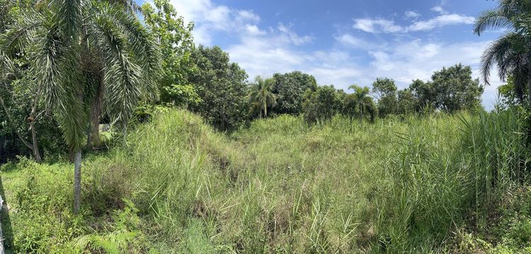 āđāļāđ ð āļāđāļēāļ āļŦāļēāļāļāļ āļĢāļēāļāļēāļāļīāđāļĻāļĐ! ð āļĢāļđāļāļāļĩāđ 3